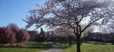 Parc Champeau