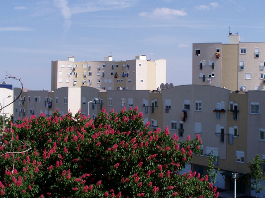 Service Logement