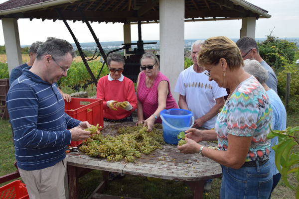 L’AVIC, la passion de la vigne 