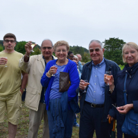  Album photo - Fête des vendanges 2016 