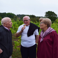  Album photo - Fête des vendanges 2016 