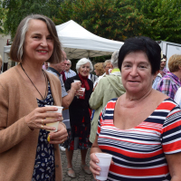  Album photo - Fête des vendanges 2016 