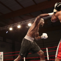 Album photo - Journée 100 % boxe à Chanteloup !