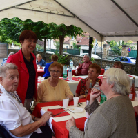  Album photo - Fête des vendanges 2016 