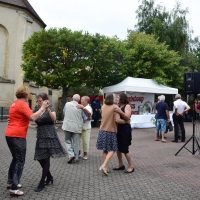  Album photo - Fête des vendanges 2016 