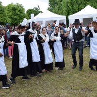 Album photo - Fête de la Ville 2017