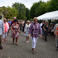  Album photo - Fête des vendanges 2016 