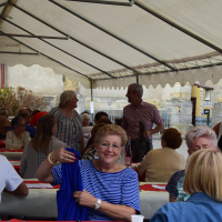  Album photo - Fête des vendanges 2016 