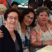  Album photo - Fête des vendanges 2016 