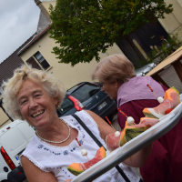  Album photo - Fête des vendanges 2016 