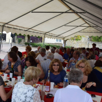  Album photo - Fête des vendanges 2016 