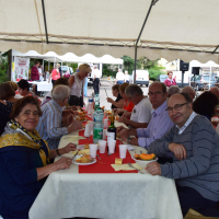  Album photo - Fête des vendanges 2016 