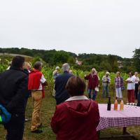  Album photo - Fête des vendanges 2016 