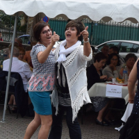  Album photo - Fête des vendanges 2016 