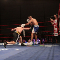 Album photo - Journée 100 % boxe à Chanteloup !