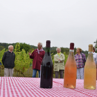  Album photo - Fête des vendanges 2016 