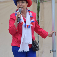 Album photo - Fête de la Ville 2017