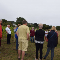  Album photo - Fête des vendanges 2016 
