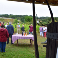  Album photo - Fête des vendanges 2016 