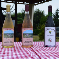  Album photo - Fête des vendanges 2016 