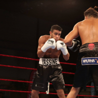 Album photo - Journée 100 % boxe à Chanteloup !