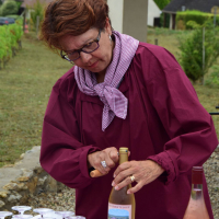 Album photo - Fête des vendanges 2016 