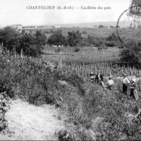 La mairie et les écoles en 1906