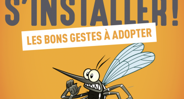 Gare aux moustiques !