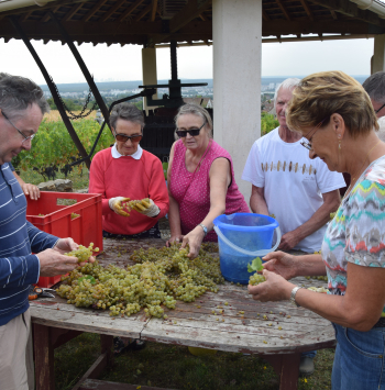 L’AVIC, la passion de la vigne 